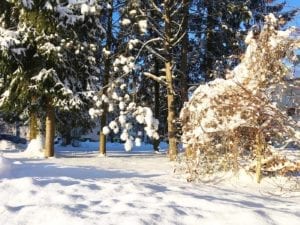 What a beautiful winter wonderland 😍❄️ Nature, Winterstyle, winterlook, Salzburg, Austria, Snow, Snowflakes, Lifestyle, Sporty